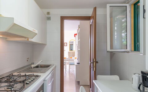 Botti: Building, Gas Stove, Cabinetry, Kitchen, Cooktop, Kitchen Stove, Kitchen Appliance, Wood, Interior Design, Window