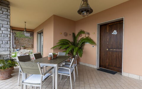 Irma: Table, Plant, Furniture, Houseplant, Flowerpot, Chair, Building, Wood, Interior Design, Window