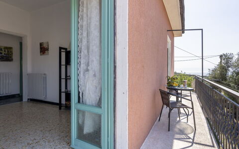 Carleadri: Wood, Shade, Door, Floor, Plant, Flooring, Sky, Automotive Exterior, Tree