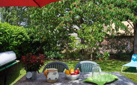 Punto Lago: Plant, Property, Furniture, Green, Flowerpot, Nature, Leaf, Botany, Outdoor Furniture, Chair