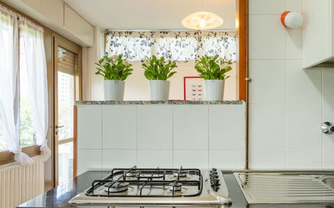 Gelsomino (Cco115): Plant, Property, Window, Gas Stove, Houseplant, Cooktop, Flowerpot, Building, Kitchen Stove, Kitchen Appliance