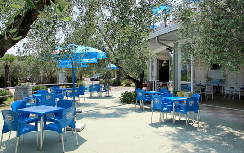 San Felice del Benaco 604: Furniture, Plant, Table, Chair, Blue, Shade, Outdoor Furniture, Tree, Outdoor Table, Leisure