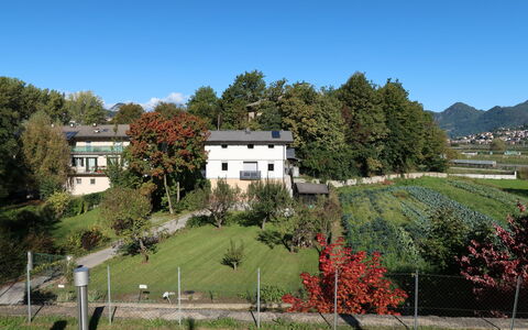 Angeli: Plant, Building, Sky, Natural Landscape, Tree, Window, House, Land Lot, Vegetation, Grass