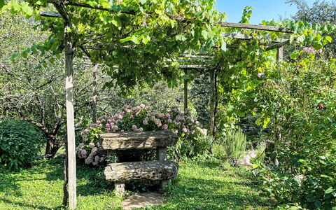 Casa Lienartova: Green, Leaf, Garden, Plant Community, Shade, Spring, Groundcover, Yard, Botanical Garden