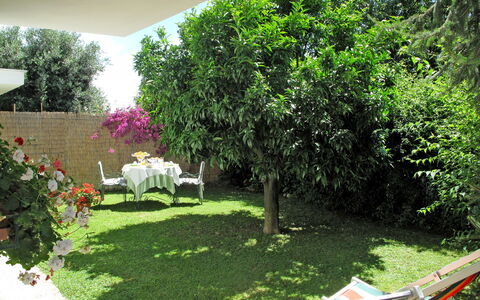 Mandarino: Plant, Property, Plant Community, Green, Boat, Chair, Shade, Vegetation, Land Lot, Flower