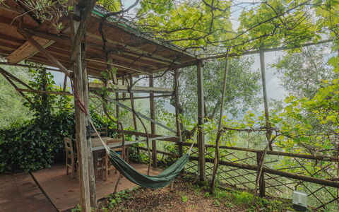 La Grotta: Plant, Plant Community, Shade, Sky, Tree, Wood, Mesh, Terrestrial Plant, Landscape, Rural Area