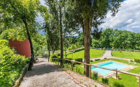 L'Orlo del Bosco: Plant, Water, Sky, Shade, Natural Landscape, Cloud, Tree, Land Lot, Swimming Pool, Grass