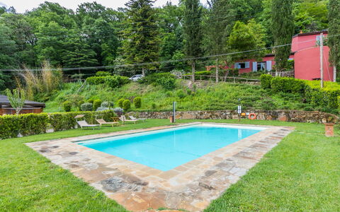 L'Orlo del Bosco: Plant, Water, Property, Swimming Pool, Sky, Tree, Shade, Rectangle, Grass, Leisure