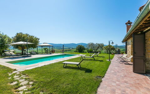 Metallo: Sky, Plant, Shade, Swimming Pool, Outdoor Furniture, Tree, Land Lot, Building, Grass, Urban Design