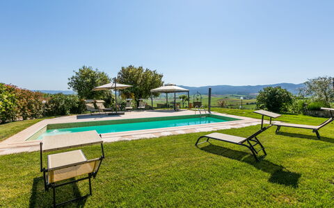 Metallo: Water, Plant, Sky, Furniture, Swimming Pool, Tree, Table, Outdoor Furniture, Shade, Natural Landscape