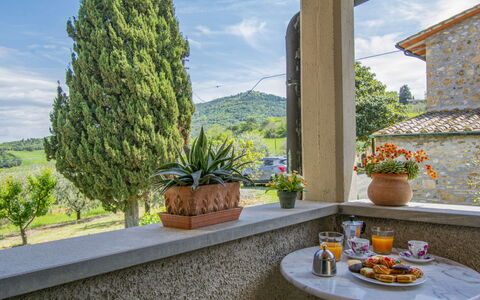 Il Sorbo: Cloud, Sky, Plant, Property, Flowerpot, Tableware, Window, Houseplant, Azure, Table