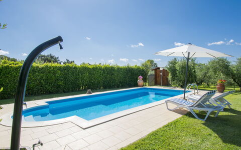 Oliveta: Swimming Pool, Property, Real Estate, Leisure, House, Grass, Villa, Vacation, Home, Building
