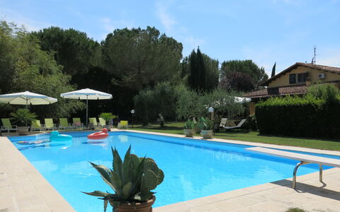 Luisa: Water, Plant, Sky, Furniture, Property, Swimming Pool, Cloud, Azure, Chair, Shade
