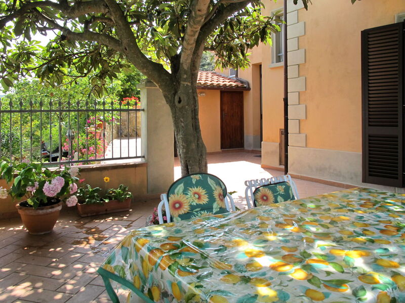 Lodola (Cgo100)