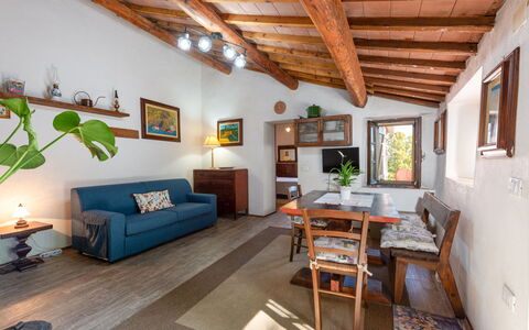 La Casina: Picture Frame, Couch, Furniture, Houseplant, Plant, Living Room, Window, Interior Design, Wood, Floor