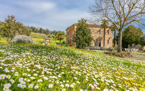 Podere Casina: Flower, Sky, Plant, Cloud, Building, Petal, Leaf, Tree, Natural Landscape