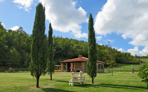 Dilia: Cloud, Sky, Plant, Green, Tree, Natural Landscape, Land Lot, Vegetation, Grass, Building