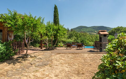 Bardi i: Sky, Plant, Plant Community, Cloud, Leaf, Tree, Vegetation, Natural Landscape, Land Lot, Grass