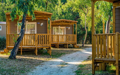 Lido di Ostia 602: Property, Plant, Nature, Shade, Botany, Wood, Tree, Grass, Sunlight, Biome
