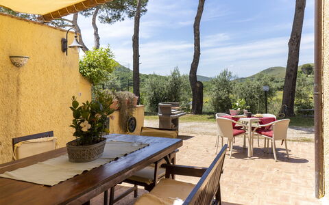 Saha: Table, Plant, Furniture, Sky, Property, Building, Azure, Shade, Houseplant, Outdoor Table