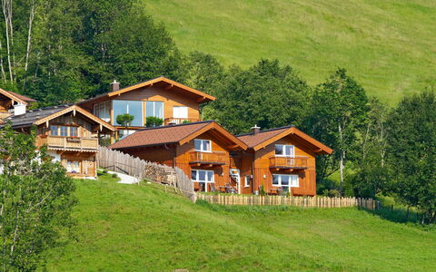 Flachau 617: Plant, Building, Property, Window, Ecoregion, Tree, House, Natural Landscape, Wood, Land Lot