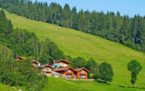Flachau 617: Sky, Plant, Mountain, Ecoregion, Green, Tree, Nature, Natural Landscape, House, Highland