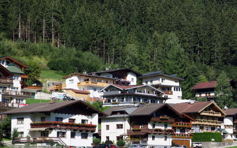 Mayrhofen 816: Plant, Tree, House, Building, Residential Area, Natural Landscape, Landscape, Leisure, Grass, Mountain Range