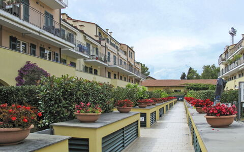 Cala Azzurra (Imp312): Flower, Plant, Sky, Building, Property, Flowerpot, Window, Cloud, Houseplant, Urban Design