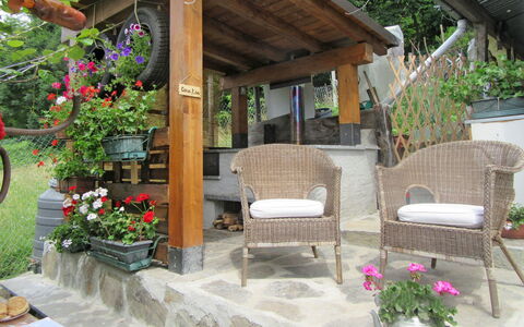 Casa Kiwi: Flower, Plant, Building, Flowerpot, Houseplant, Shade, Interior Design, Outdoor Furniture, Chair