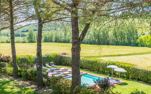 Castelfiorentino 649: Plant, Property, Plant Community, Flower, Green, Natural Landscape, Tree, Vegetation, Land Lot, Grass