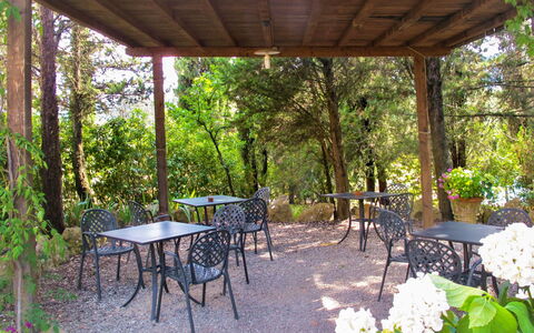 San Gimignano 694: Plant, Table, Flower, Furniture, Chair, Shade, Tree, Botany, Outdoor Furniture, Outdoor Table