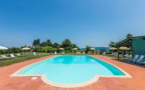 Pomarance 650: Water, Sky, Property, Swimming Pool, Azure, Plant, Tree, Body Of Water, Shade, Building