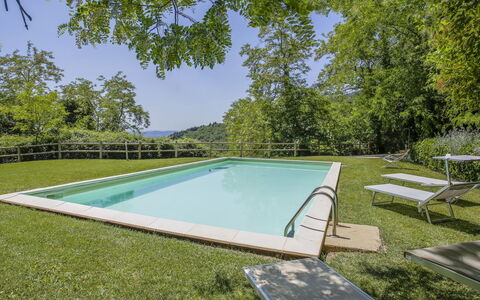 Florence 646: Water, Swimming Pool, Rectangle, Shade, Plant, Sky, Grass, Tree, Outdoor Furniture, Leisure