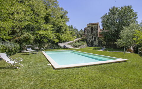 Florence 646: Plant, Sky, Swimming Pool, Shade, Tree, Rectangle, Grass, Shrub, Urban Design, Recreation