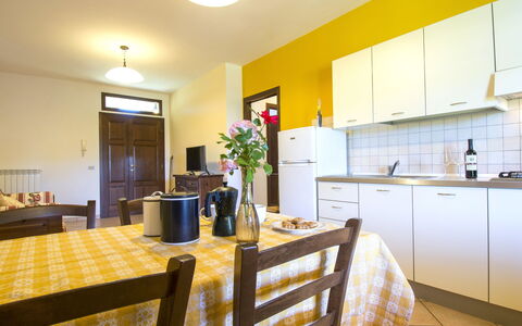 Cecina 613: Room, Property, Countertop, Furniture, Yellow, Kitchen, Interior Design, Building, Floor, House
