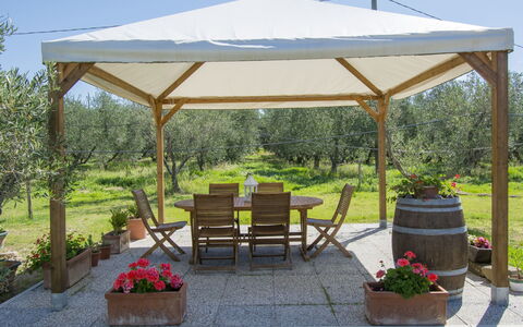 Cecina 613: Plant, Sky, Plant Community, Flowerpot, Flower, Houseplant, Shade, Outdoor Furniture, Tree, Outdoor Table