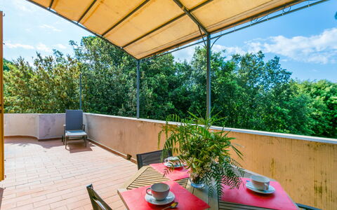 Beach Home: Furniture, Property, Table, Plant, Shade, Chair, Outdoor Furniture, Flowerpot, Interior Design, Lighting