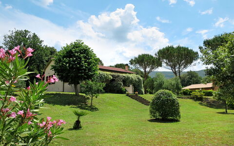 Roccastrada 622: Cloud, Sky, Flower, Plant, Property, Plant Community, Tree, Natural Landscape, Botany, Building