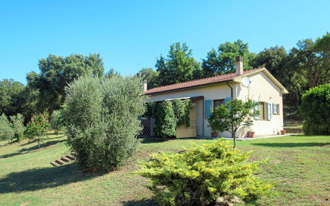 Roccastrada 622: Sky, Plant, Building, Window, Tree, Botany, House, Natural Landscape, Land Lot, Grass