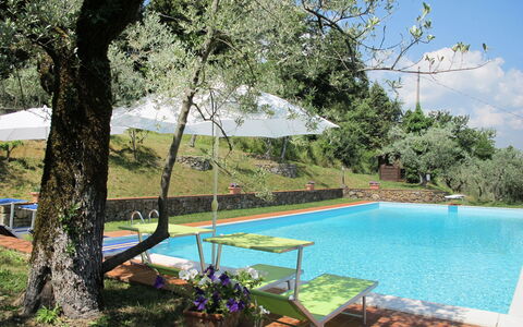 Montevarchi 613: Water, Plant, Sky, Swimming Pool, Nature, Botany, Tree, Outdoor Furniture, Shade, Cloud