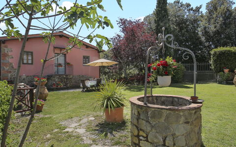 Montevarchi 613: Plant, Property, Flowerpot, Sky, Flower, Tree, Land Lot, Biome, Building, Cottage