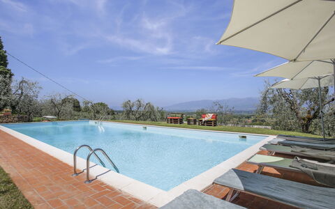 Montevarchi 613: Water, Sky, Plant, Cloud, Property, Swimming Pool, Azure, Outdoor Furniture, House, Umbrella