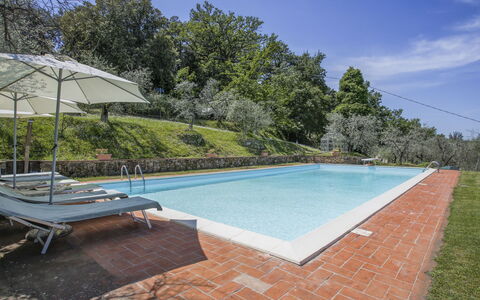Montevarchi 613: Water, Sky, Swimming Pool, Tree, Rectangle, Plant, Outdoor Furniture, Shade, Grass, Composite Material