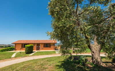 Accommodation:&nbsp;Terrazza 602.3