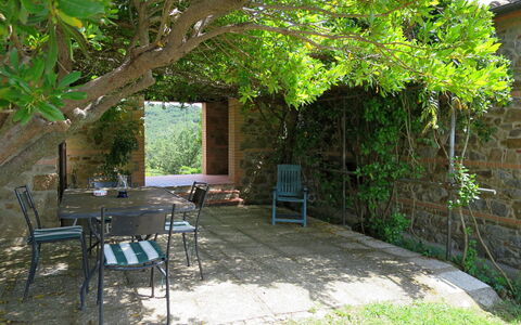 Lago Trasimeno 611: Property, Tree, Yard, Backyard, House, Botany, Garden, Building, Plant, Table