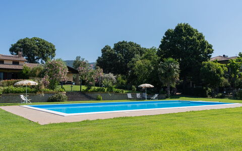 Lago di Bolsena 618: Plant, Sky, Water, Swimming Pool, Azure, Tree, Building, Land Lot, Vegetation, Rectangle