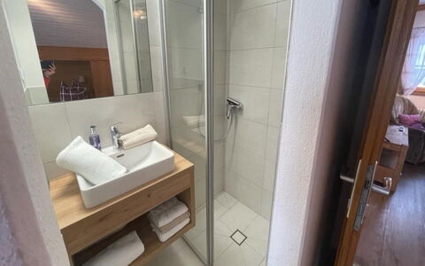 Kammerlander: Mirror, Sink, Tap, Plumbing Fixture, Bathroom Sink, Bathroom, Interior Design, Building, Architecture