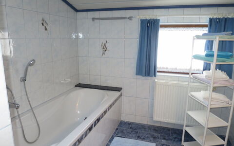 Liftblick: Bathtub, Building, Plumbing Fixture, Window, Bathroom, Shower, House, Flooring, Floor