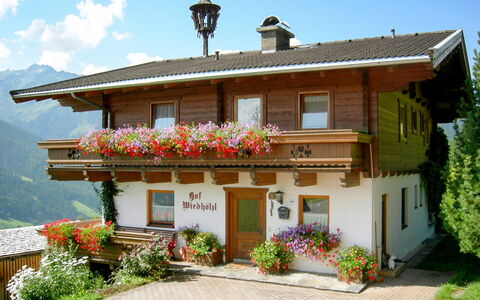 Bramberg am Wildkogel 697: Plant, Flower, Sky, Cloud, Building, Property, Window, Door, House, Tree