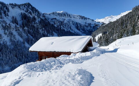 Naulaz: Snow, Winter, Mountain, Mountainous Landforms, White, Mountain Range, Geological Phenomenon, Sky, Alps, Glacial Landform